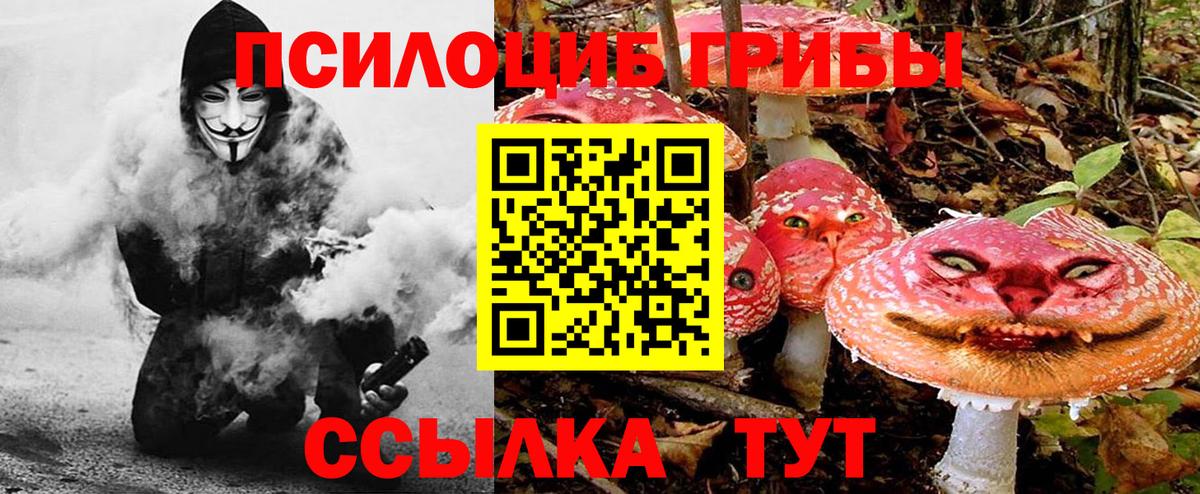 Галлюциногенные грибы Psilocybe Гагарин