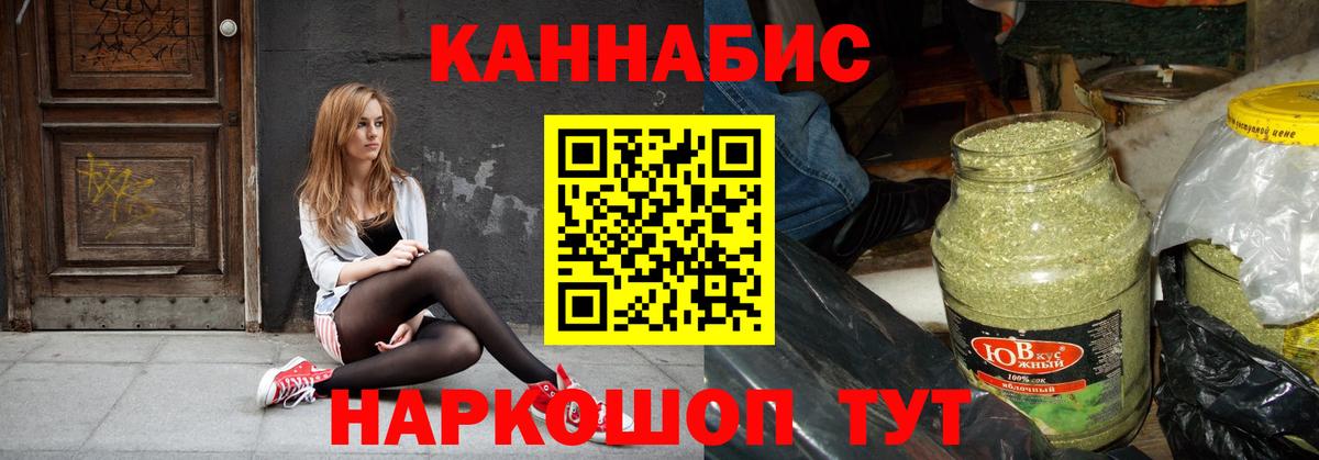 Каннабис план  Конопля White Widow  Вход с VPN  Гагарин  Каннабис сатива 